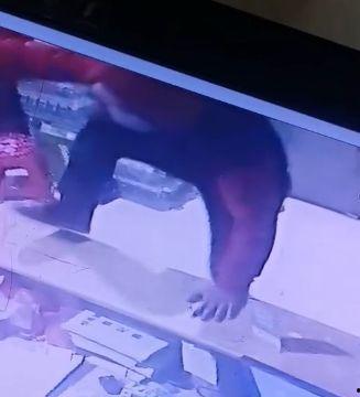 佤邦最新爆料新闻视频,揭秘神秘势力动态